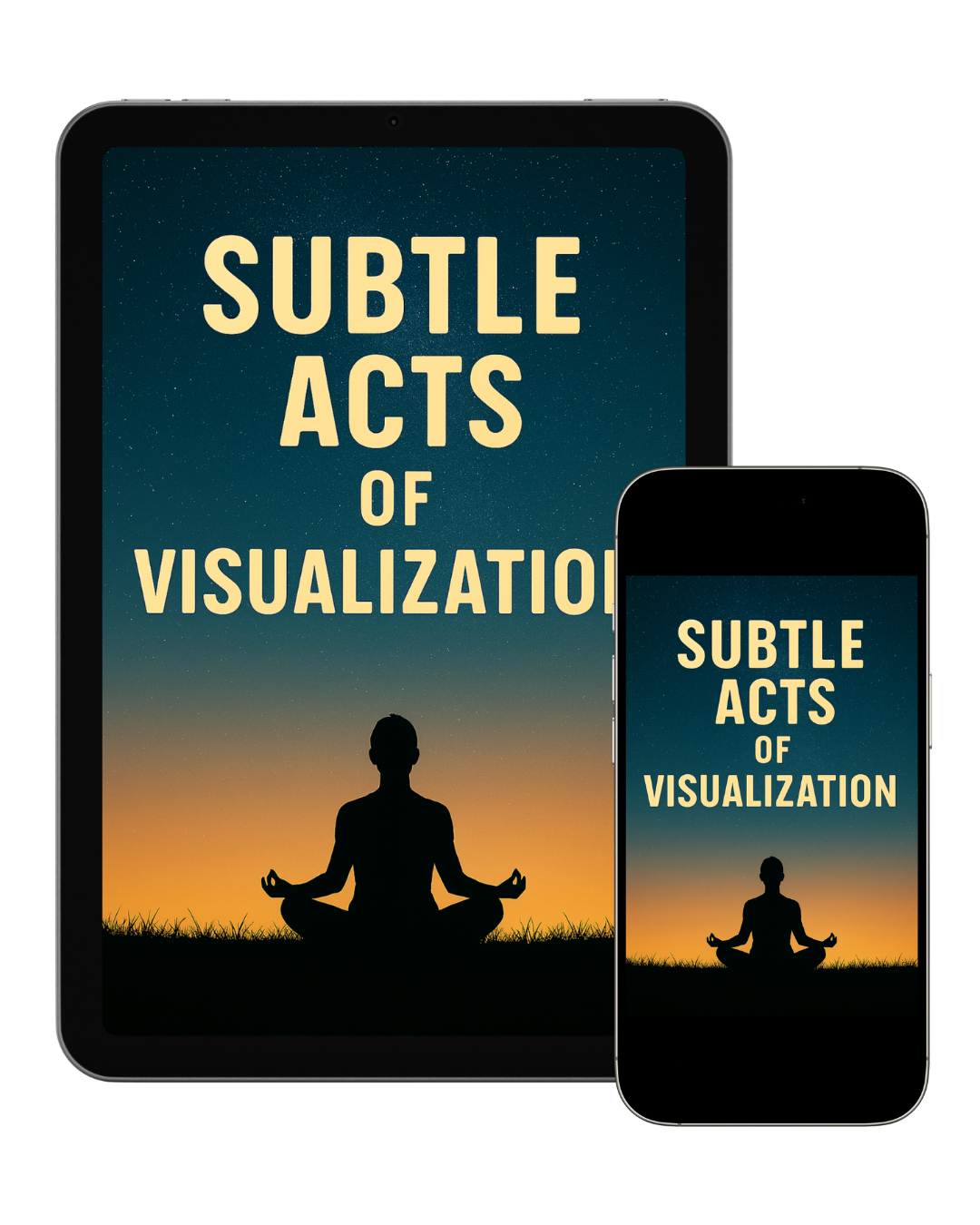 Subtle Acts of Visualization - David L. Malkec