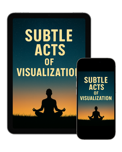 Subtle Acts of Visualization - David L. Malkec